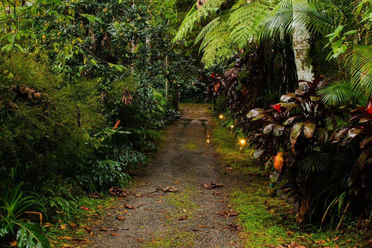 Quarto Varanda - Residencia Gaia Itatiaia Itatiaia  Luaran gambar